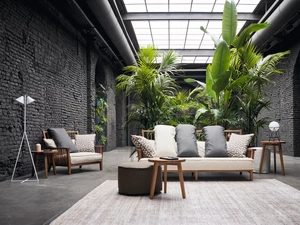 Poltrona Gray in noce di Gervasoni