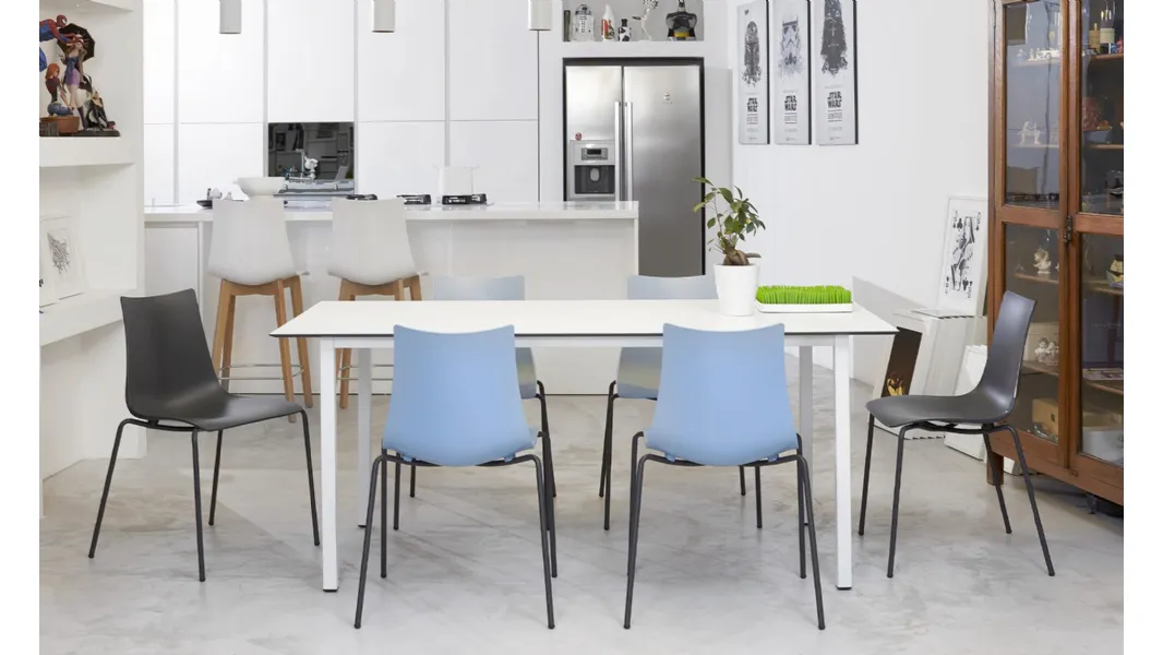 Sedia Zebra Tecnopolimero di Scab Design