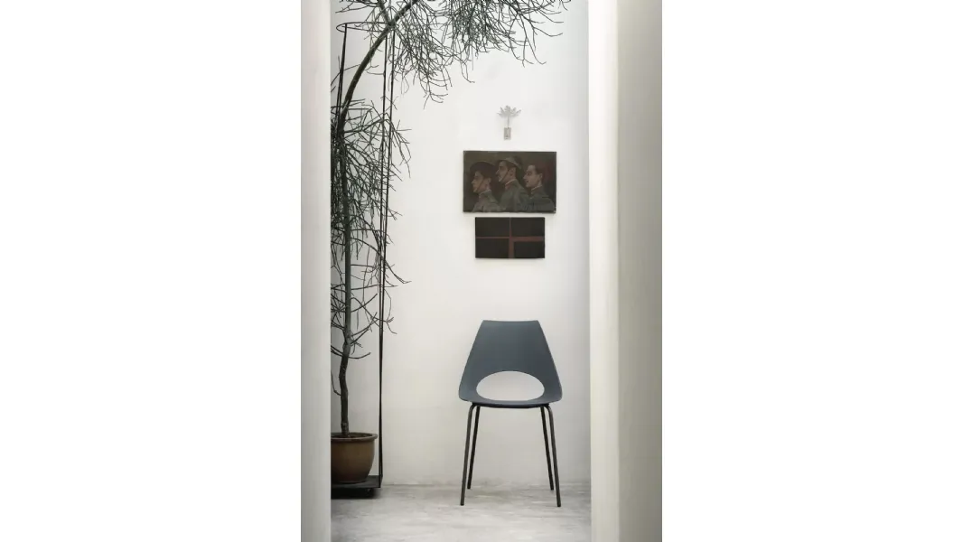 Sedia da giardino Shark Outdoor in polipropilene con gambe in acciaio laccato di Bontempi