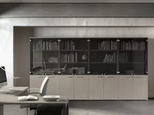 Libreria in frassino grigio e vetro Idra 02 di Walco